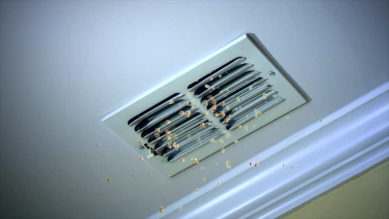 Professional Airduct Cleaning in Jonesboro, LA