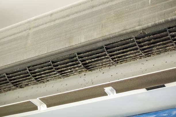 Best Affordable Duct Cleaning Services  in Jonesboro, LA